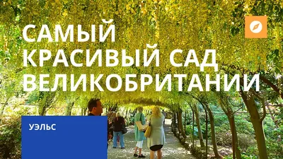National Trust: сокровищница Великобритании | Афиша Лондон