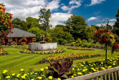 Фото Природа Великобритания Swansea Botanic Gardens Уэльс Сады Кусты