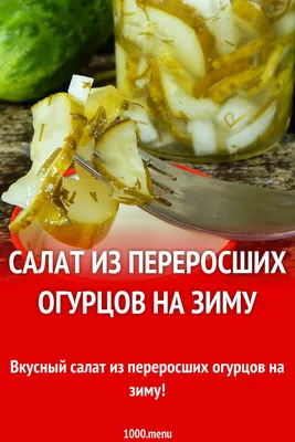 Рецепт маринованных огурцов на зиму: как приготовить, мариновать в домашних  условиях, ингредиенты