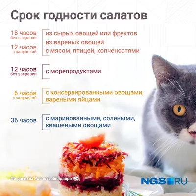Рецепты салатов из овощей с фото - салаты из вареных овощей