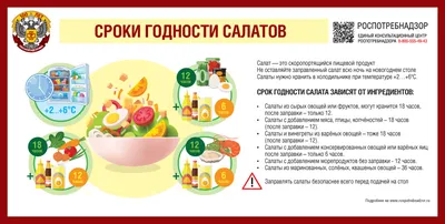 8 рецептов простых салатов с подсолнечным маслом - Статьи на Повар.ру