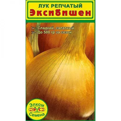 Весенний лук также известен как салатный лук, зеленый лук или скальоны на  древесном фоне Стоковое Фото - изображение насчитывающей еда, кашевар:  159653084