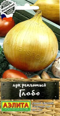 Лук белый молодой купить с доставкой на дом по цене 174 рублей в  интернет-магазине