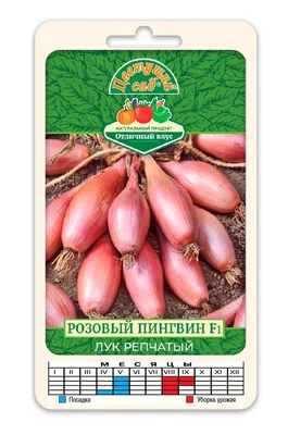 Лук салатный Эксибишен (0,25 гр.) (Элком Семена) — купить по цене 23руб. 👉  артикул — 1,0036 Интернет магазин DachaRU 🏡 Москва 📞8 (800) 500-83-66