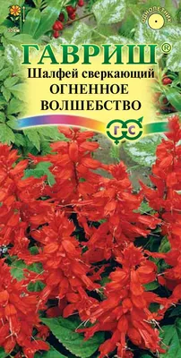 Свой огород Семена Сальвия