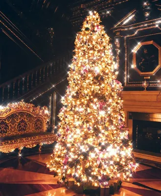 Самая красивая новогодняя елка фото фотографии