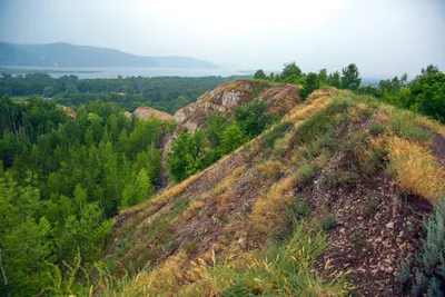 Самарская Лука\" заняла место в топ-10 национальных парков, популярных у  российских туристов в этом летнем сезоне. .. | ВКонтакте