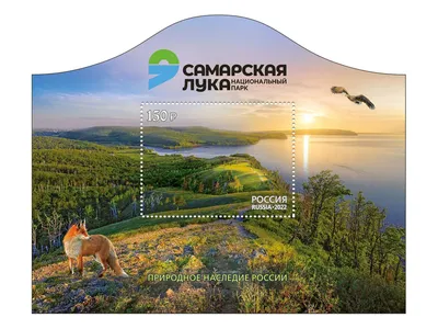 Самарская лука фото фото