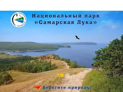 Самарская Лука — Флагман-ньюс