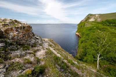 Самарская Лука+++,🦁креативно,нереально…» — создано в Шедевруме