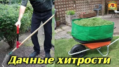 Самоделки для сада и огорода фото фото