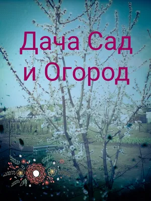 Самоделки для дачи и огорода из подручных материалов | 38 рукоделок | Дзен