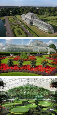 Источник вдохновения: 5 самых красивых садов мира
