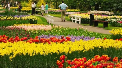 Топ 10 самые красивые сады в мире