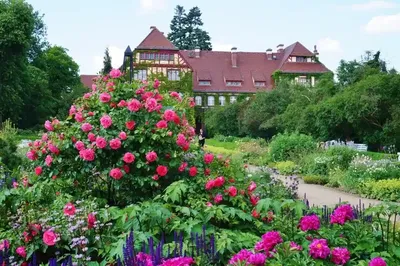 Самые красивые оранжереи мира: Palm House в Вене, ботанический сад  Копенгагена и другие | AD Magazine