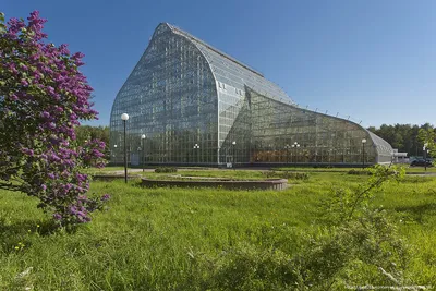 Отзыв о Ботанический сад Jardin d'Essai du Hamma (Алжир, Алжир) | Один из самых  красивых и самых старых ботанических садов мира