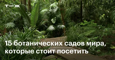 Московский ботанический сад: рассказ, фото, как добраться - GoodGourist.ru