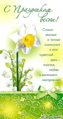 Цветы на 8 Марта: как выбрать самые лучшие? - Росконтроль
