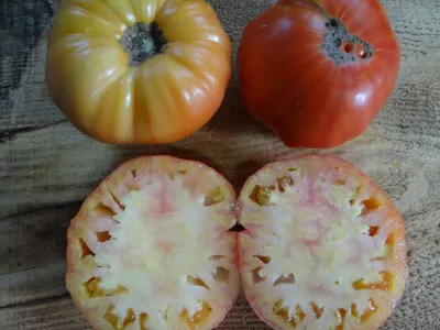 Черри помидоры - описание продукта, как выбирать, как готовить, читайте на  Gastronom.ru