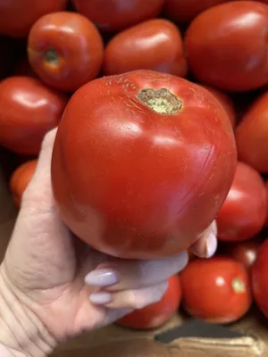 Томат Вкусные Гордона Грехема