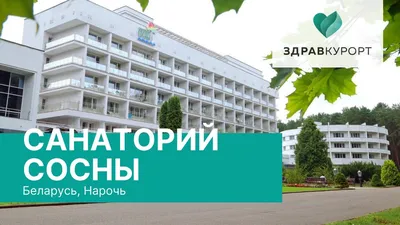 1-комнатный 2-местный - Номерной фонд | Санаторий «Сосны» Беларусь  Официальный сайт!