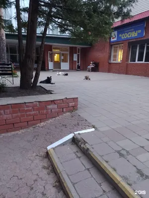 Санаторий Сосны - отзывы, фото, цены, телефон и адрес - Дома отдыха - Тамбов  - Zoon.ru