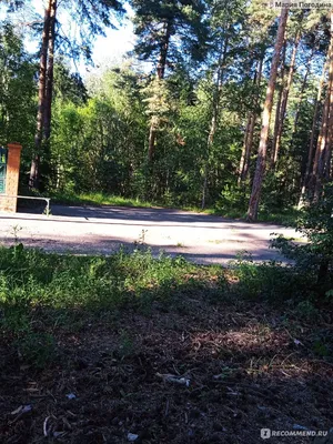 ГОСТИНИЦА САНАТОРИЙ СОСНЫ ТАТАНОВО 3* (Россия) - от 3834 RUB | NOCHI