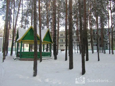 Рекомендуем Санаторий Сосны 2*, Тамбов, цены от 3300 руб. с лечением  гинекологических заболеваний | Свободные номера на 101Hotels.com