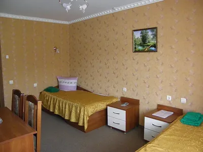 Курорт Закарпатье - Санаторий «Теплица» | Elitatour Ukraine
