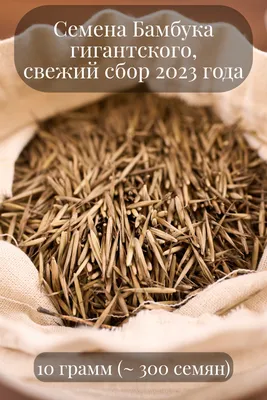 Экзотический сад дома: Весна. Новые семена