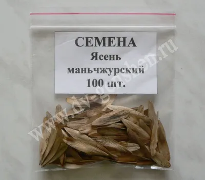 Семена ясеня ланцетного / Fraxinus lanceolata, ТМ OGOROD - 20 семян купить  недорого в интернет-магазине семян OGOROD.ua
