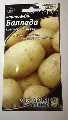 Популярные сорта картофеля для посадки в Украине — интернет магазин товаров  для сада и огорода Лето 🌿