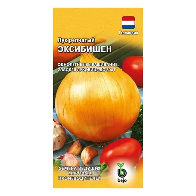 Лук Сибирь (Bejo) - купить семена из Голландии оптом - АГРООПТ