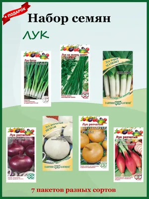 Лук зеленый душистый Джусай 0,5 г АСТ / семена лука на зелень для  проращивания / для посадки и посева / | AliExpress