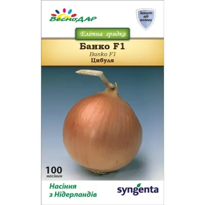 Семена лука BURSA F1 - купить в RUSAGRO LLC (Тбилиси, Грузия)