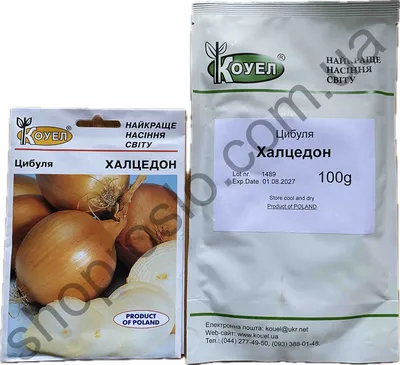 Семена лука многолетнего Суворова (ID#847918597), цена: 5 ₴, купить на  Prom.ua
