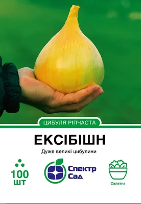 Купить Семена лука \"Кремень\" опт, розница доставка по России