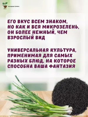Купить профессиональные семена лука репчатого Эксибишн по лучшей цене в  Украине!