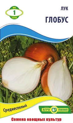 Купить [Семена лука репчатого Сабросо F1] — в Краснодаре | Интернет-магазин  Агроном