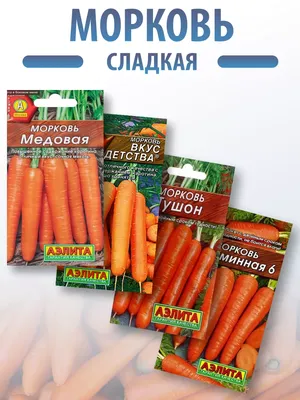 Семена моркови Роделика Идеальный Сок 10г (Солнечный Март) - Купить в  Украине, Харькове, Киеве, Днепре, Одессе