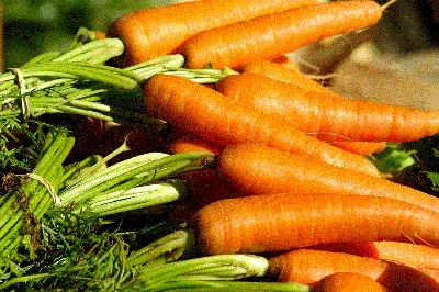 Семена моркови Ранняя сладкая тм. «Лучший урожай», 20г - Sevenmart