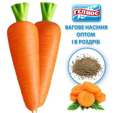 Семена моркови тушон купить с выгодой в Галамарт