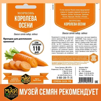 Семена моркови Каротель купить в Украине | Веснодар