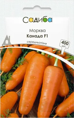Проф Семена | Агрофирма | 8 (495) 363-53-56 | Москва , ул. Обручева д.55 А  - Купар F1, семена моркови (Bejo / Бейо)