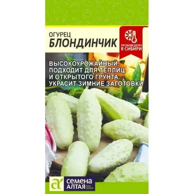 Семена Огурец Блондинчик (а/ф Семена Алтая) купить за 40 р. в садовом  центре АСТ Медовое