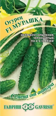 Семена Огурцов Касатик F1 — Купить на BIGL.UA ᐉ Удобная Доставка  (1729048165)