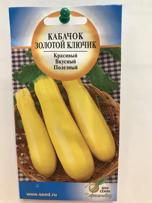 Какие семена овощей, ягод, цветов покупать начинающему огороднику в новом  году – блог интернет-магазина Порядок.ру