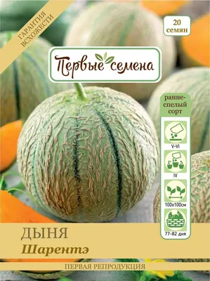Волгоградцам возвращают семена овощей с «тем самым» вкусом