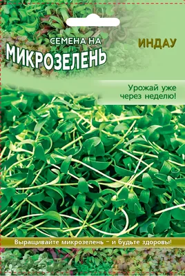 Почему семена растений так сильно отличаются по размеру: объясняет зоолог —  Ferra.ru