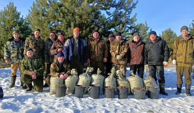 Семена сосны обыкновенной (Pinus sylvestris): 76 000 тг. - Сад / огород  Заречное на Olx